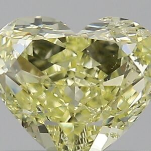 0.61 CT HEART