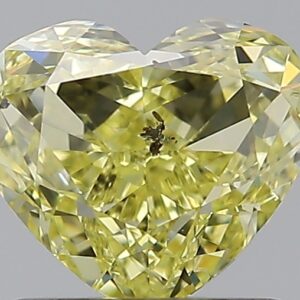 1.21 CT HEART